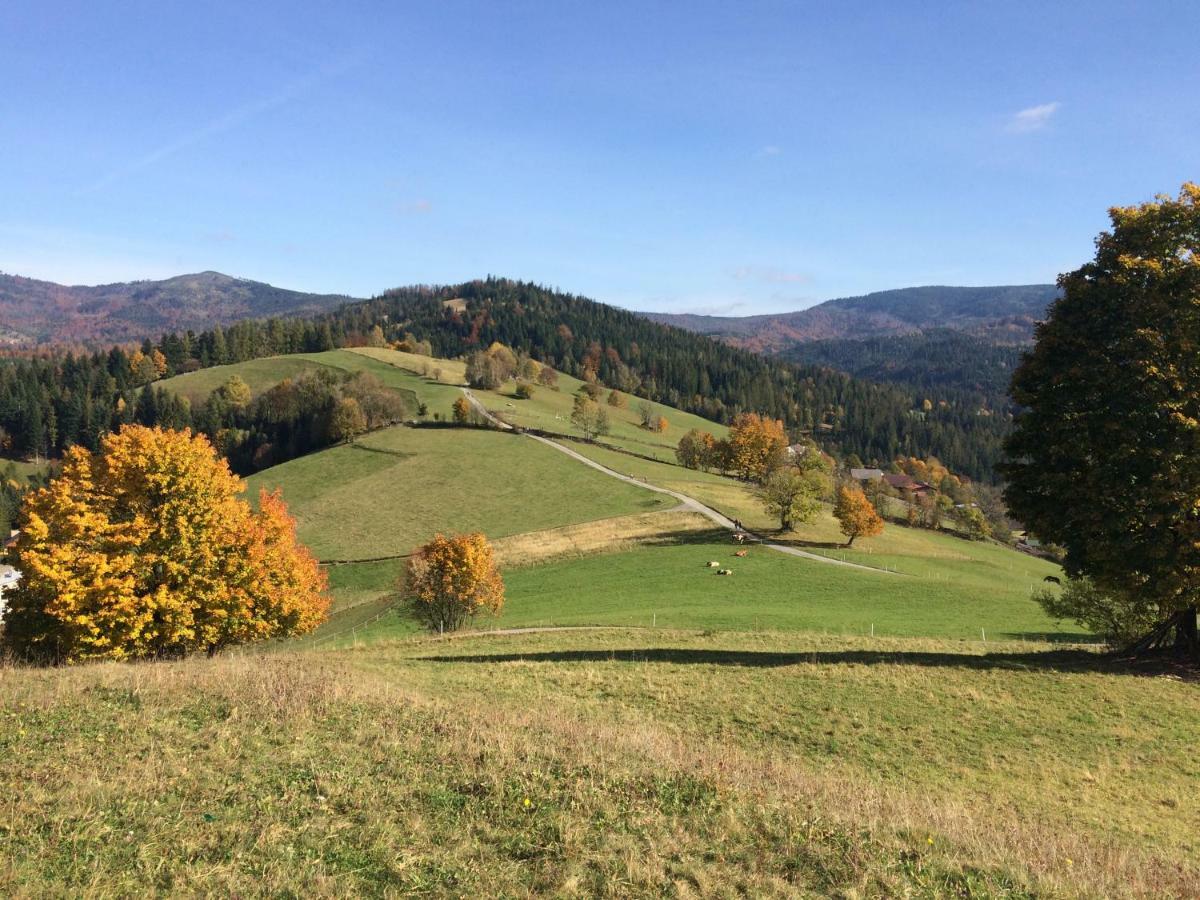 Chata Pod Skocznia Wisla Malinka Villa Bagian luar foto