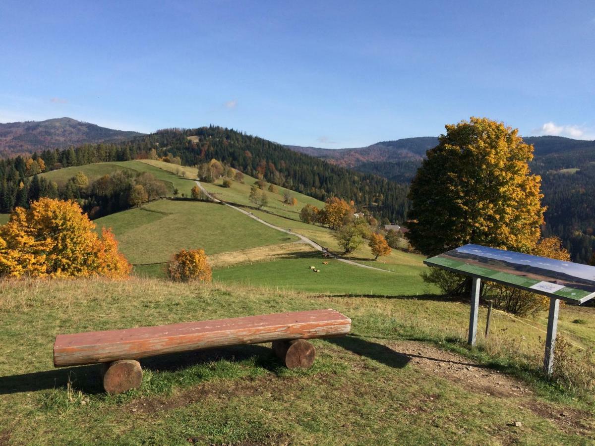 Chata Pod Skocznia Wisla Malinka Villa Bagian luar foto