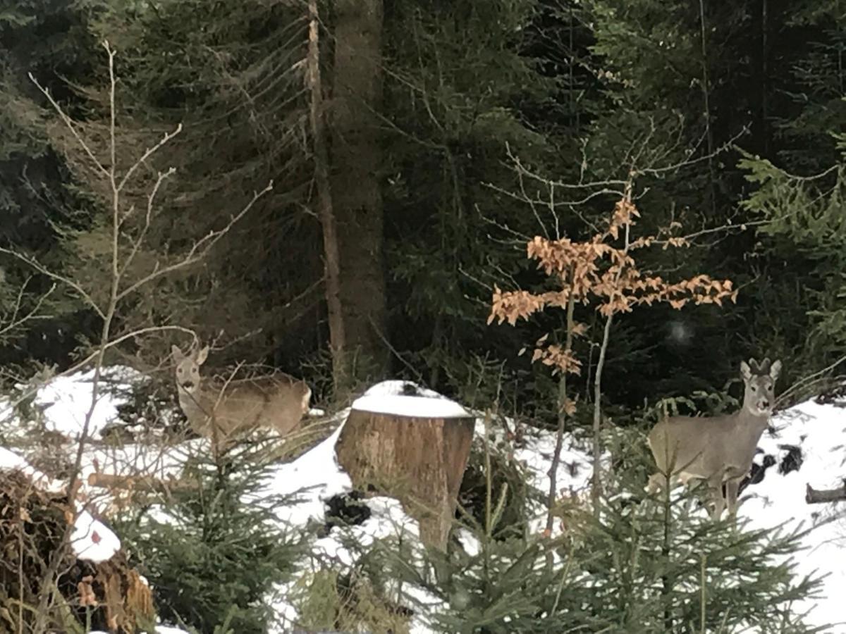 Chata Pod Skocznia Wisla Malinka Villa Ruang foto